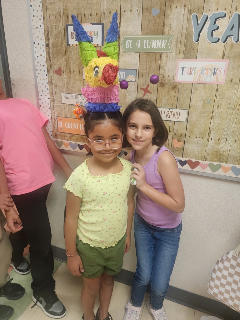 Crazy Hair Day