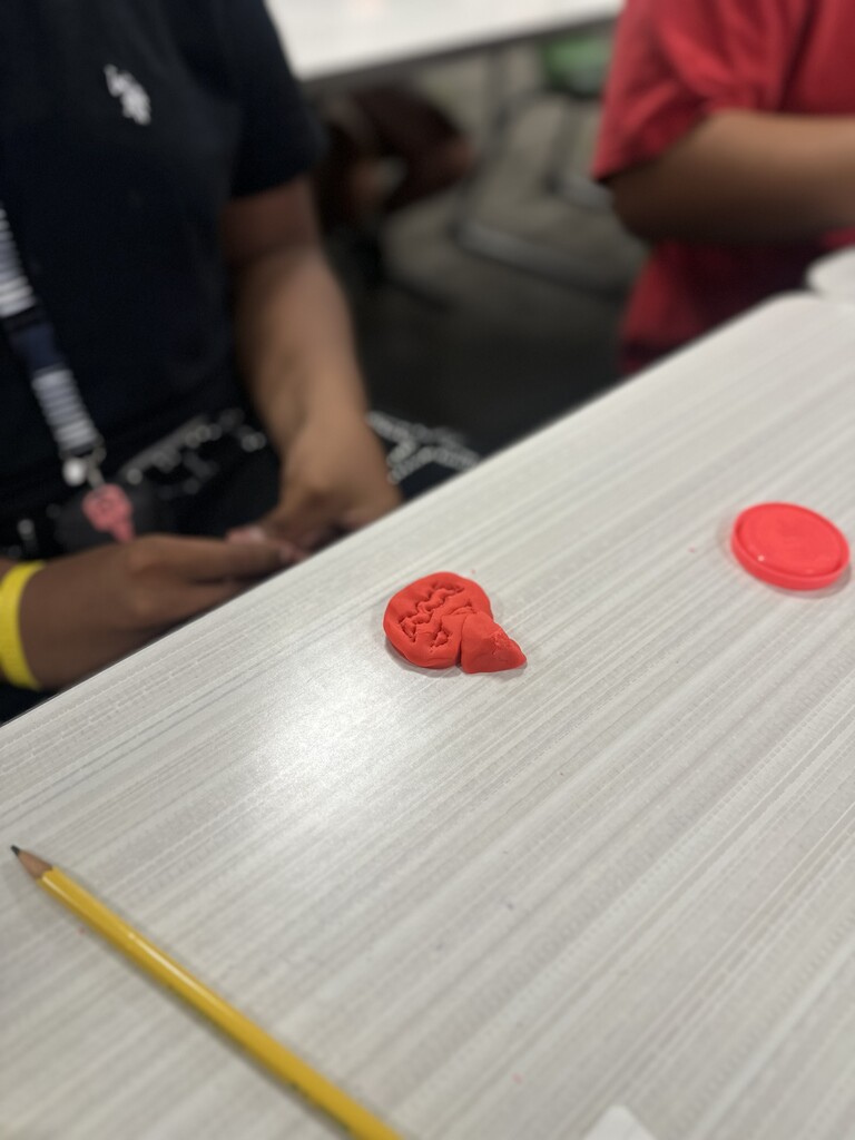 Students' dough work