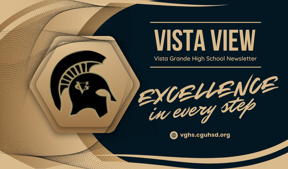 Vista View Newsletter: Excellence in every step logo