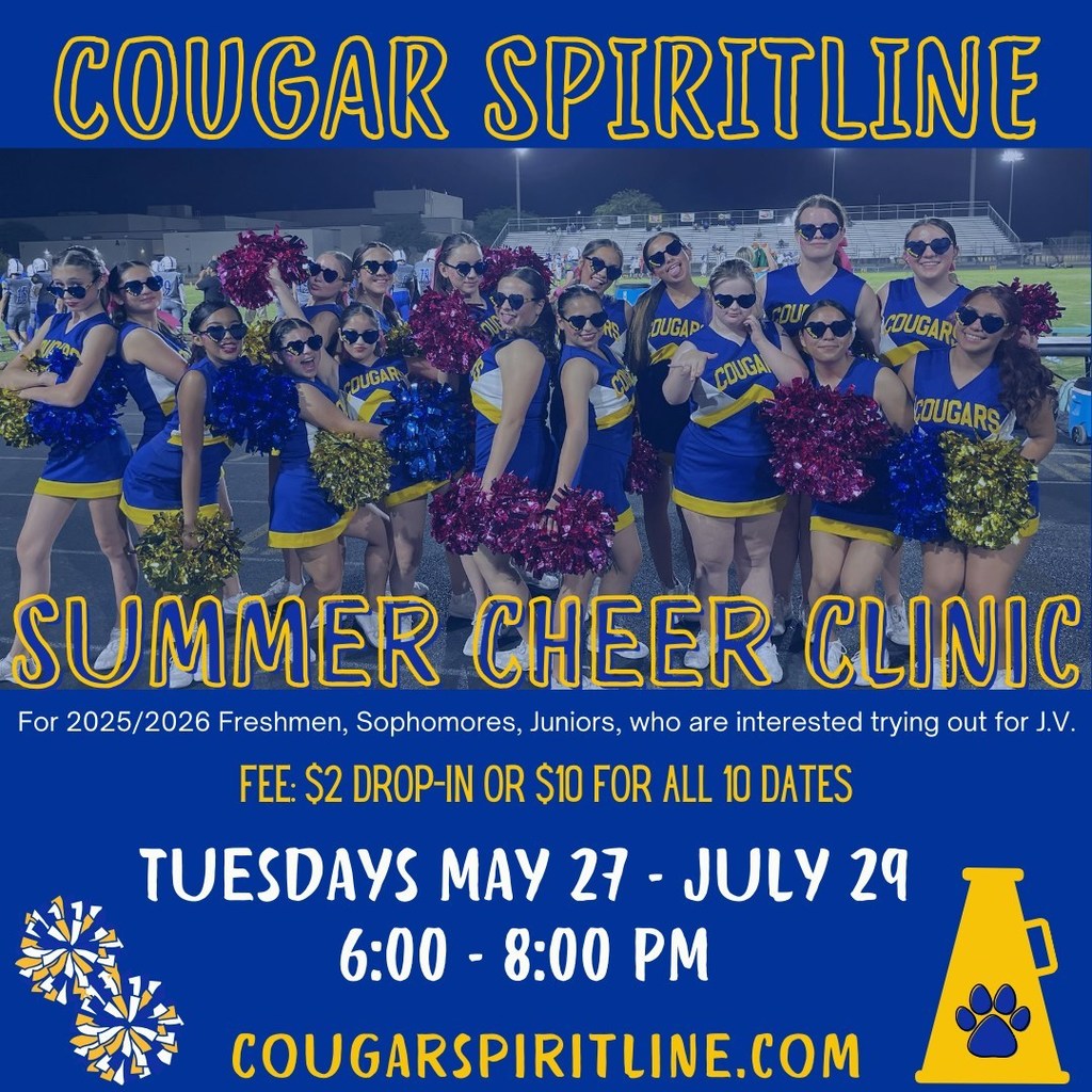 Spiritline Cheer Clinic Flyer