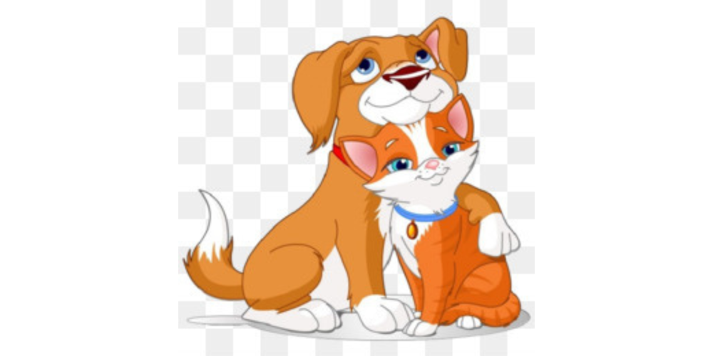Pet Donation Drive