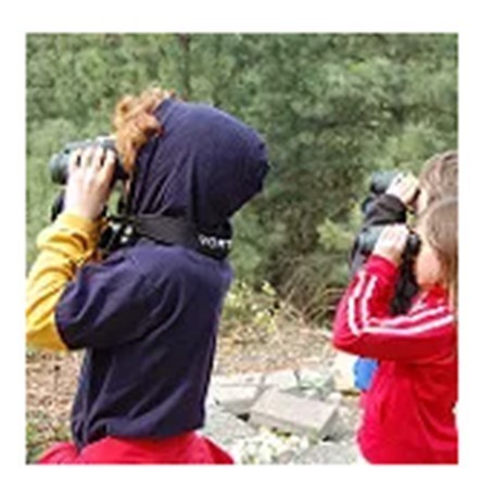 Bird watching