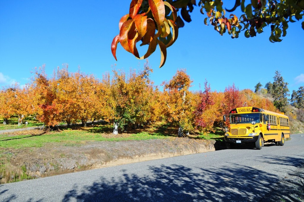 school bus in fall