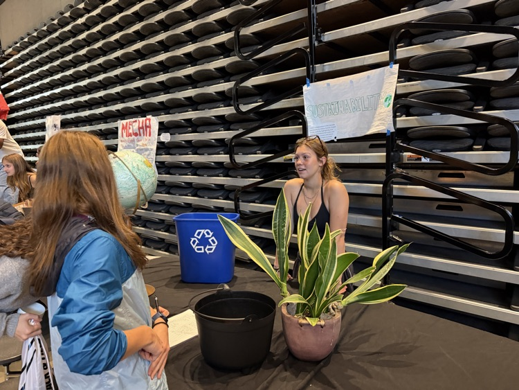 sustainability 