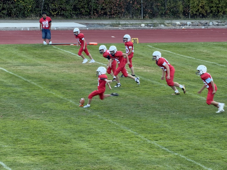 mountain lion kick