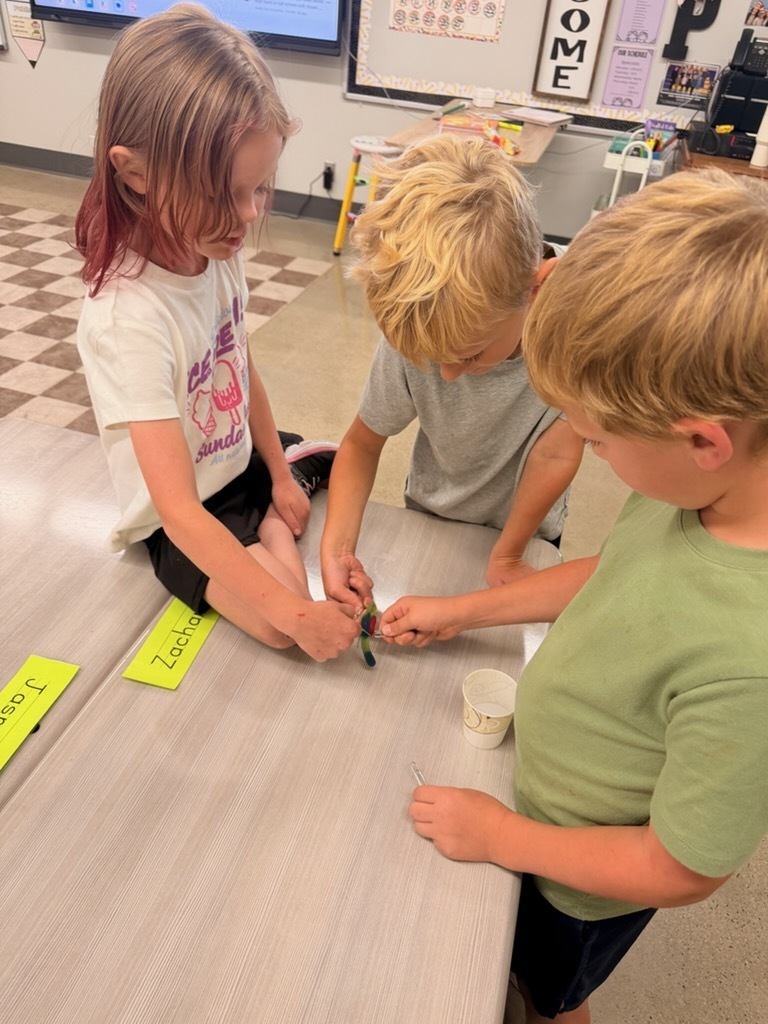 Students use teamwork