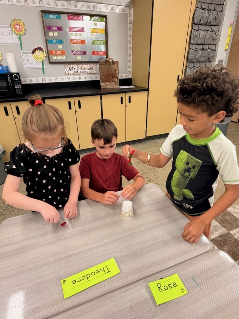 Students use teamwork