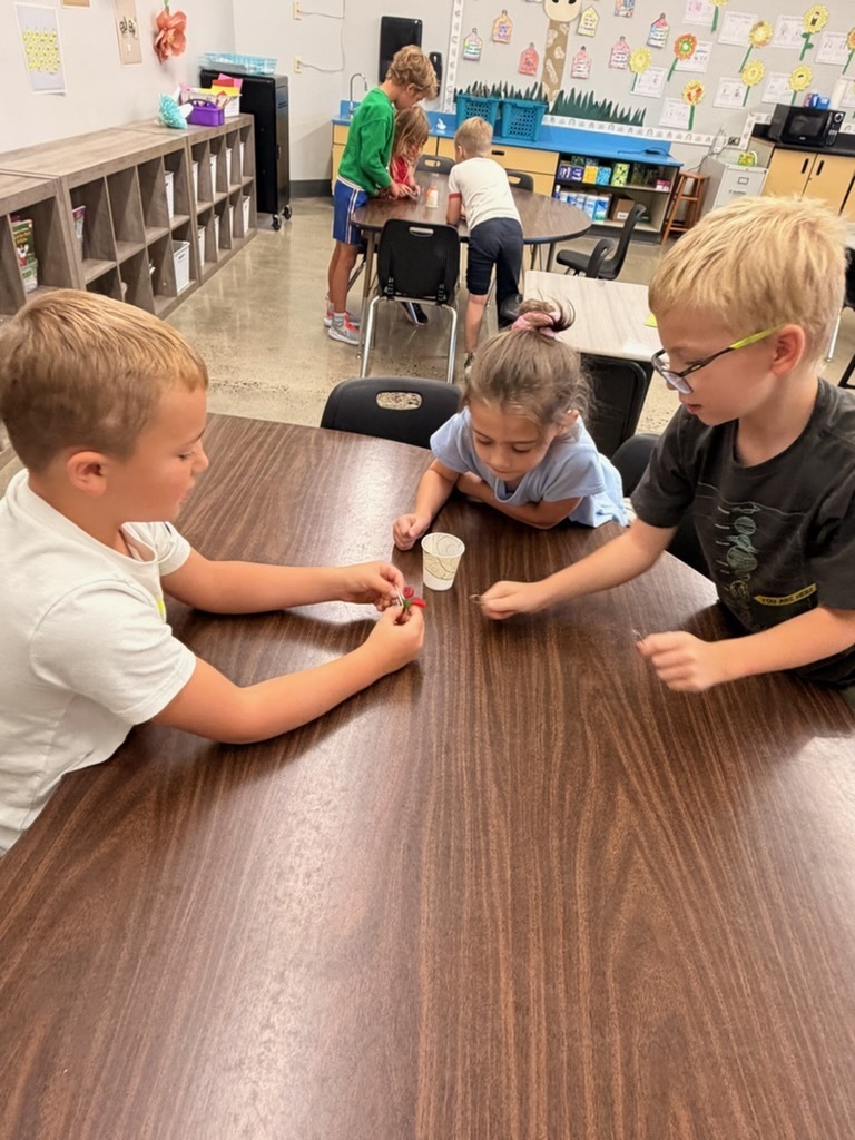 Students use teamwork