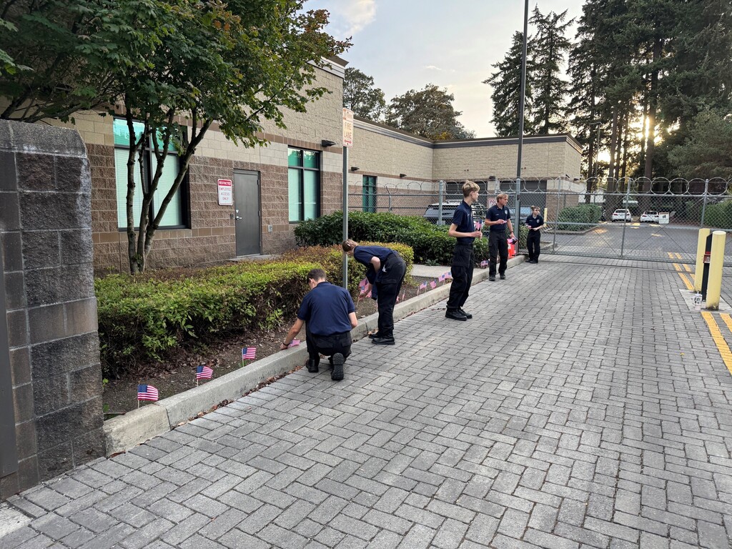 Placing flags