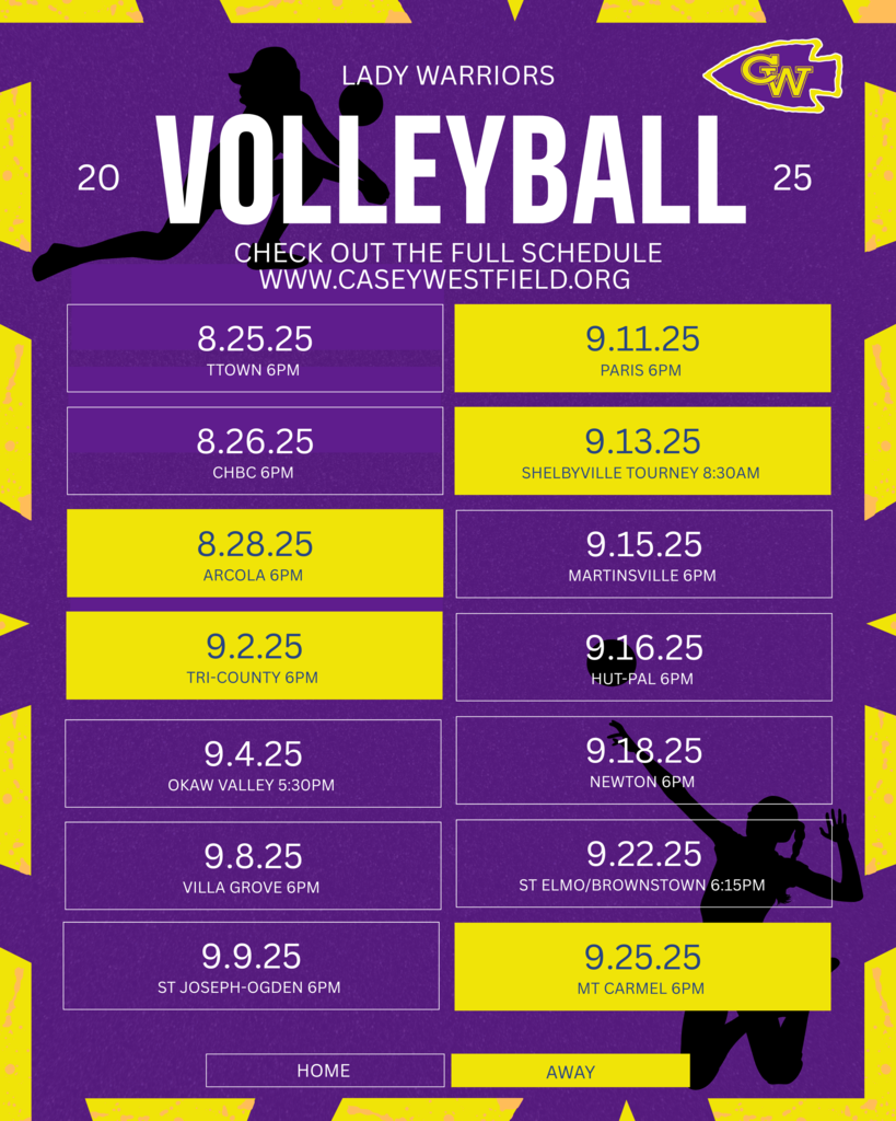 volleyball25