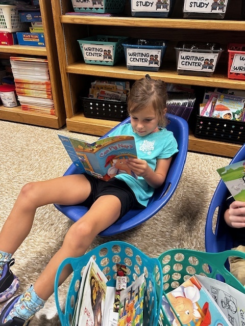 Reading