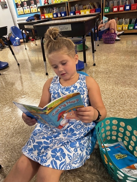 Reading