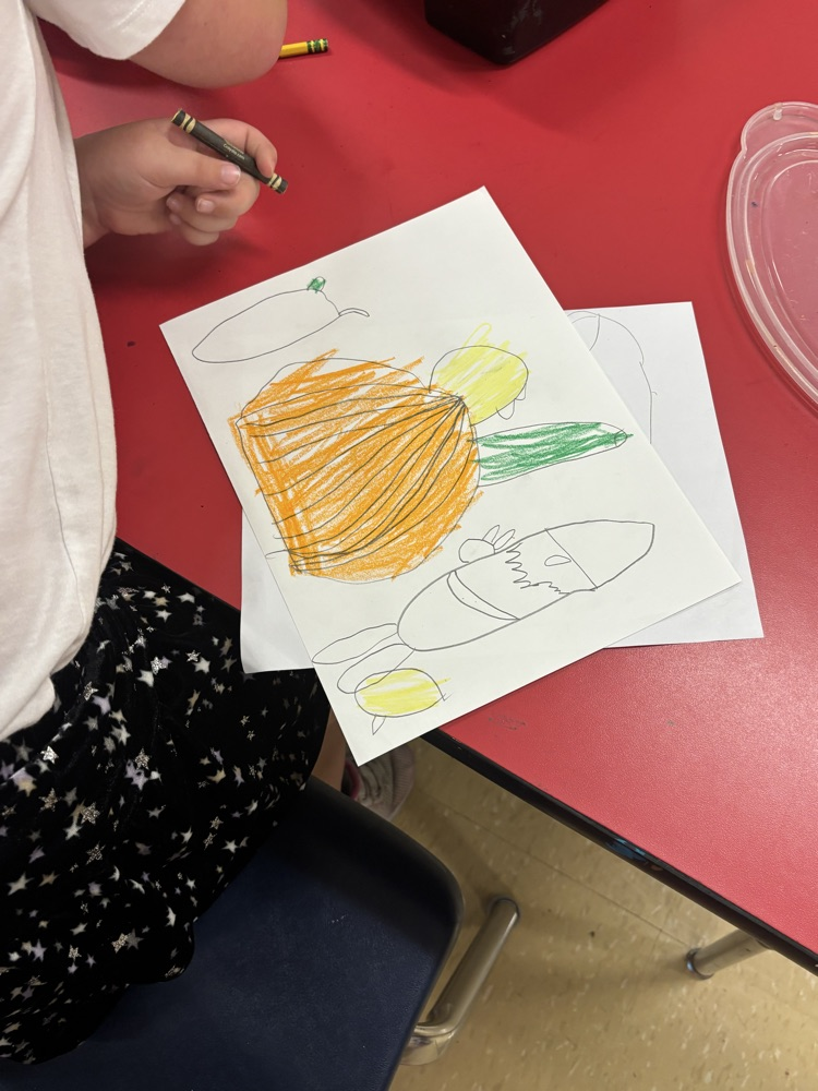 1st grade still life
