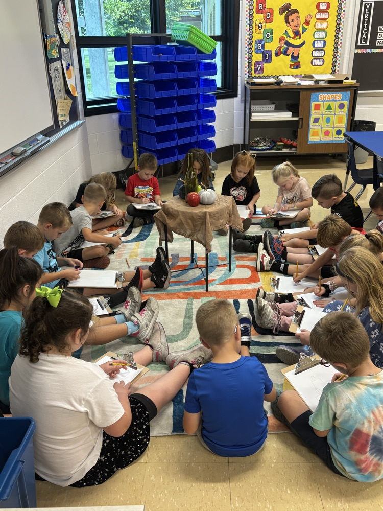 Observation drawings