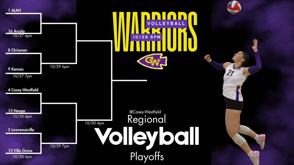 Volleyball playoffs