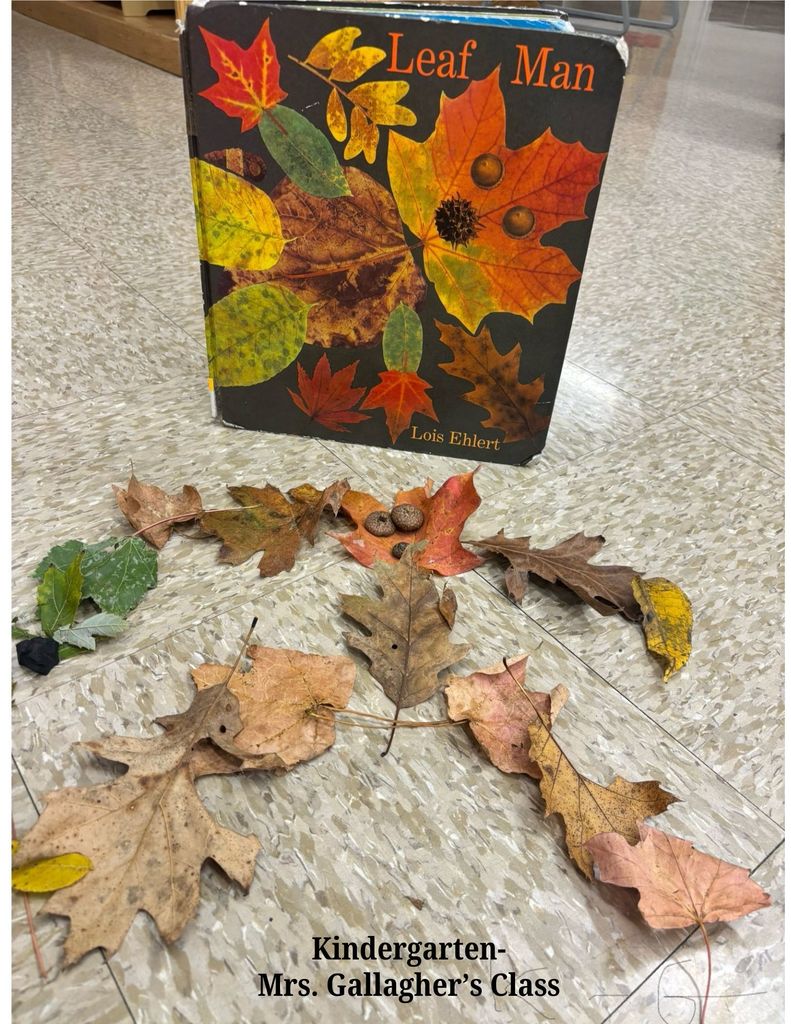 Leaf Man by Monroe Elementary students