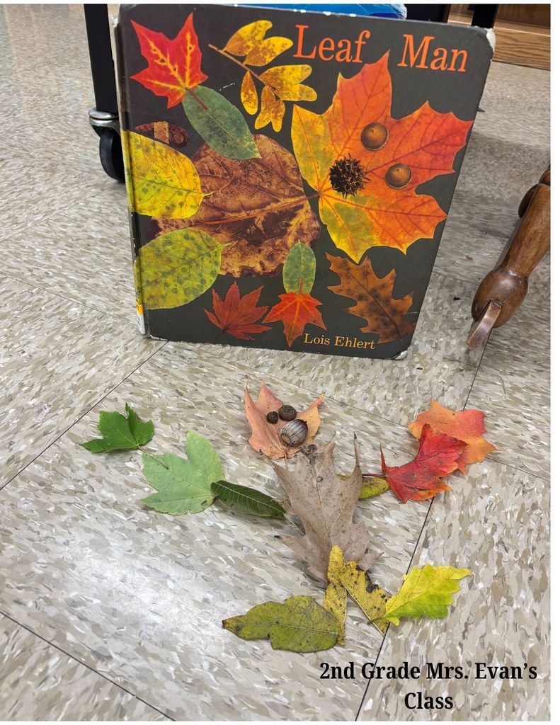 Leaf Man by Monroe Elementary students