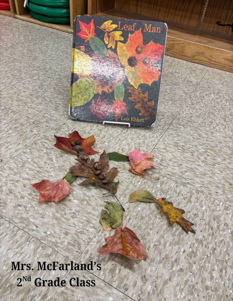 Leaf Man by Monroe Elementary students