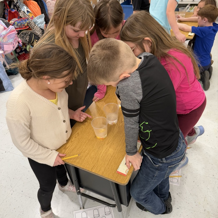 candy corn candy corn