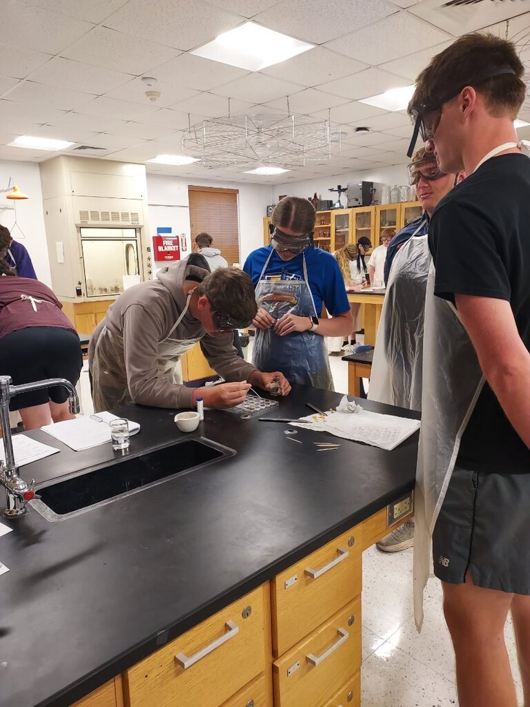 Chem 2