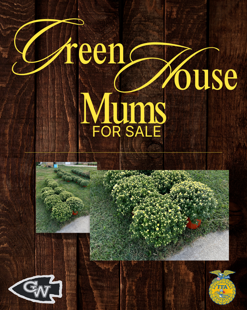 ffa mums
