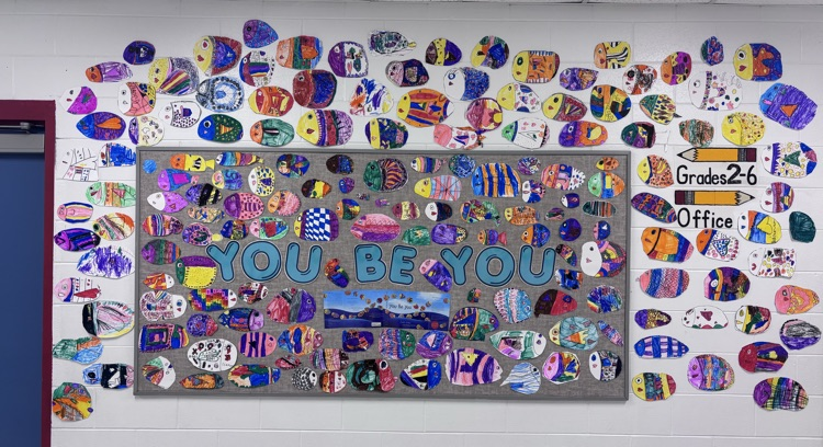 1-3rd grade fish, all unique and different