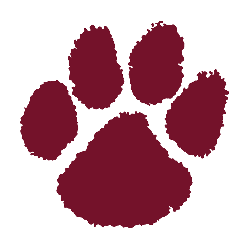 Cashion  Paw
