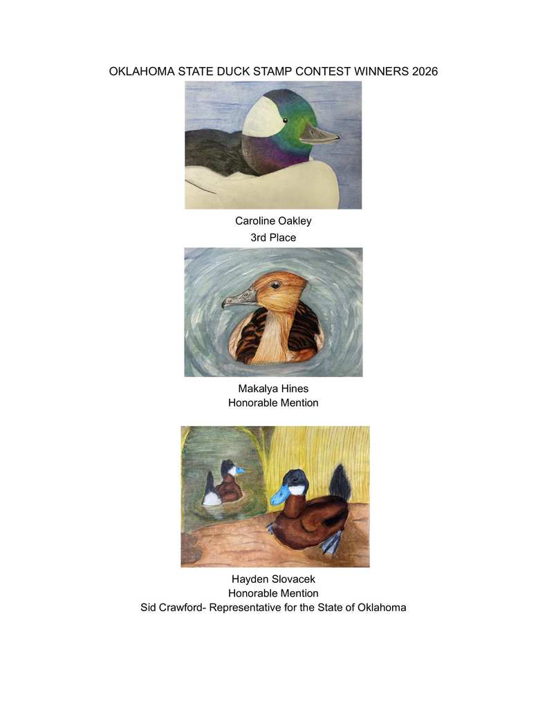 OKLAHOMA STATE DUCK STAMP CONTEST WINNERS 2026
