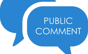 public comment