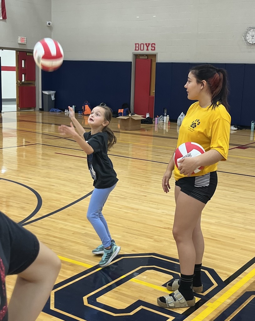 Youth Volleyball Program