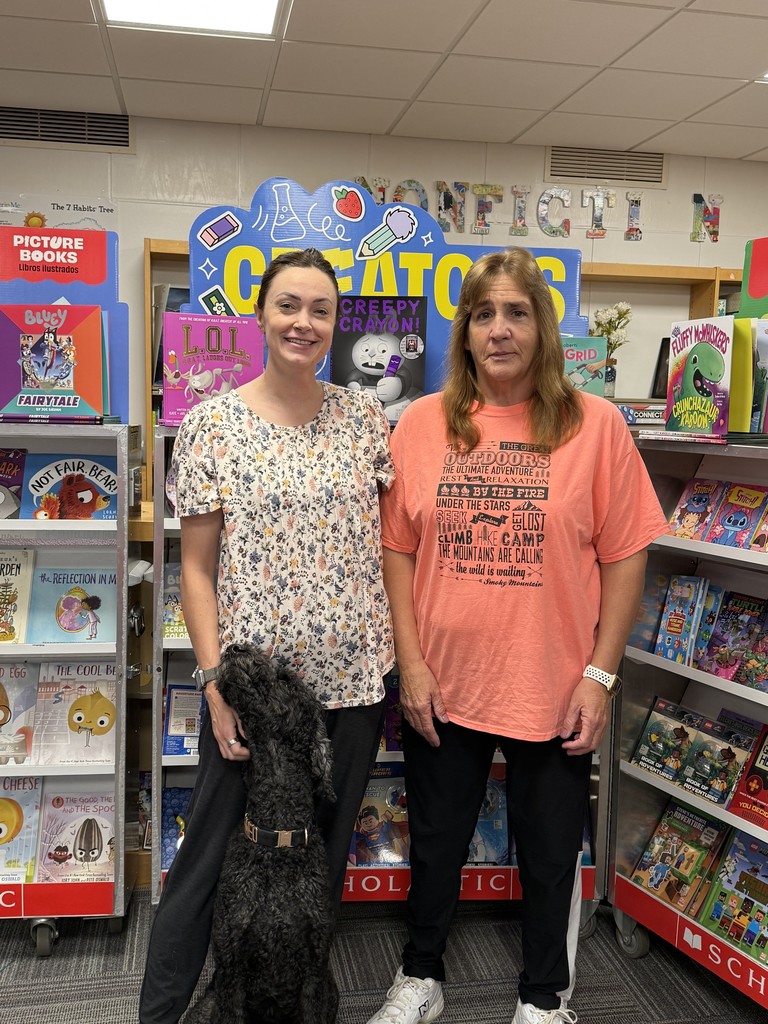 SES highlight - library