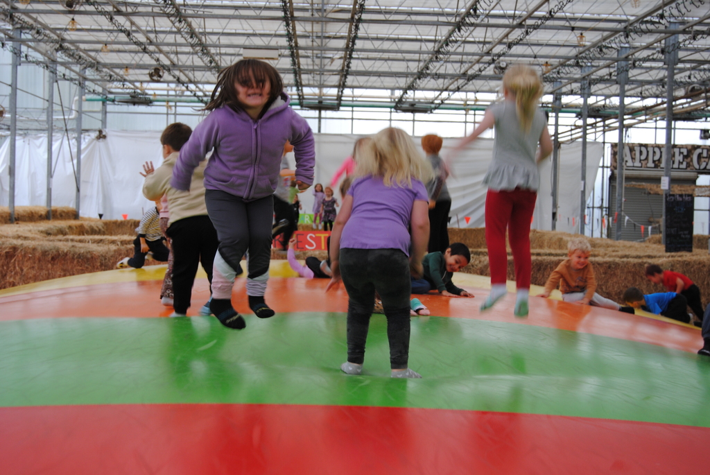 Harvestview Greenhouses