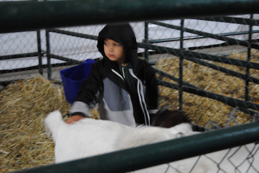 Harvestview Greenhouses