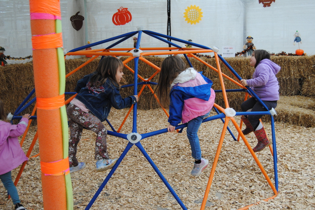 Harvestview Greenhouses
