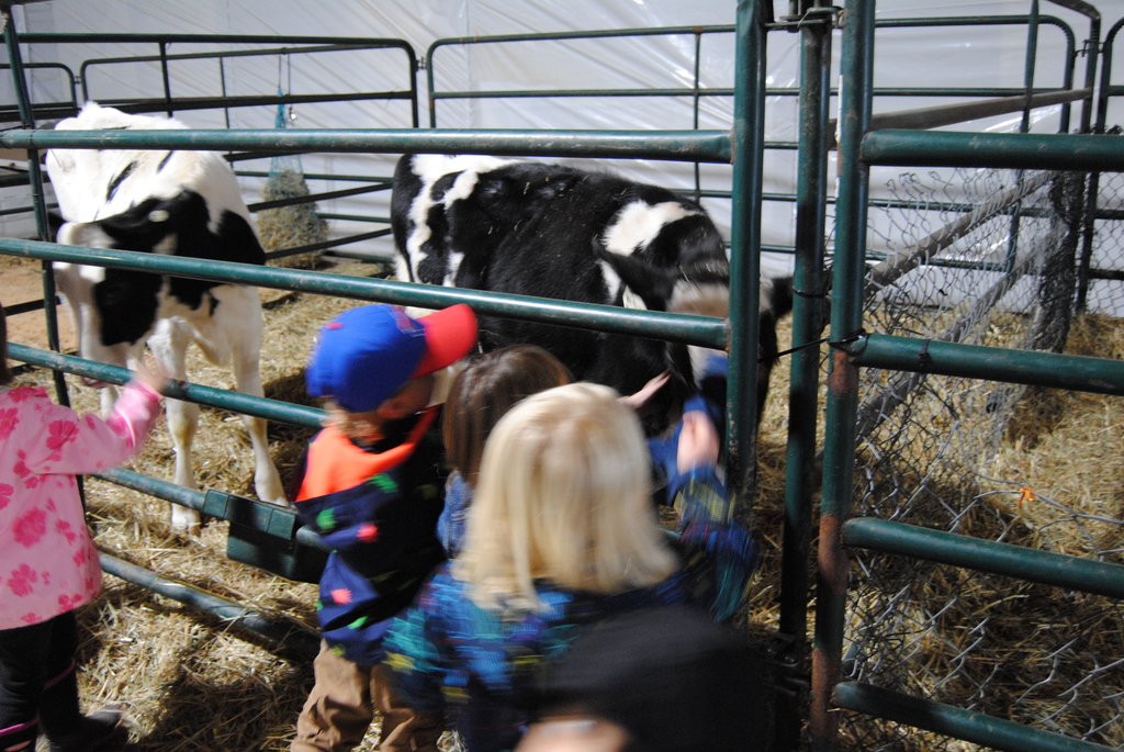 Harvestview Greenhouses