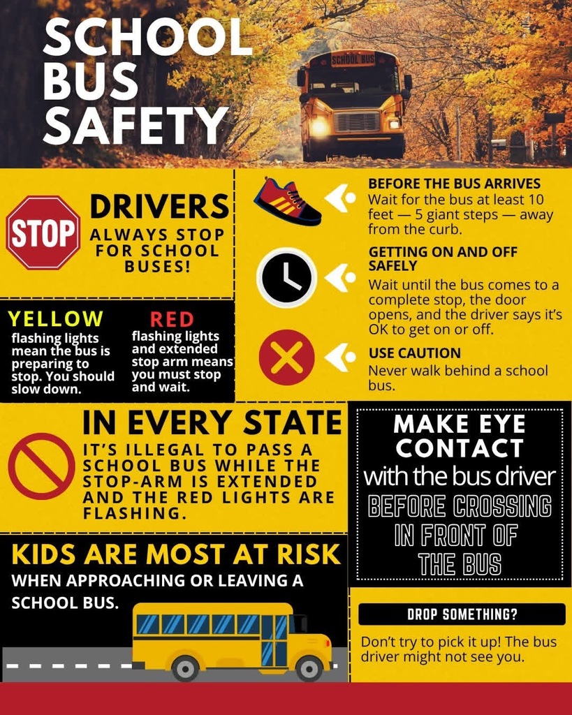 Bus safety 