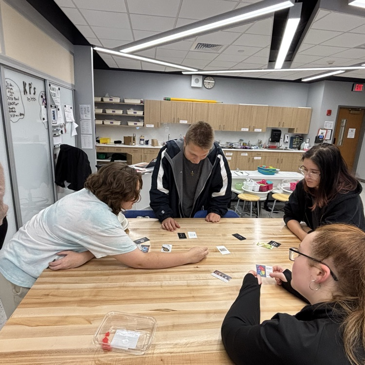 Katie analyzing the decisions of her fellow classmates