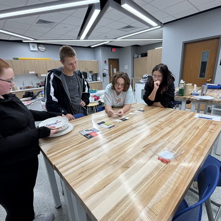 Katie explaining why certain cards went in different categories