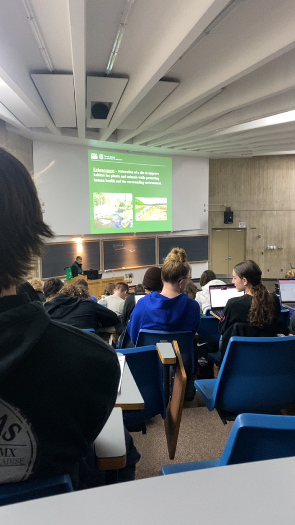 Watching Presentation 