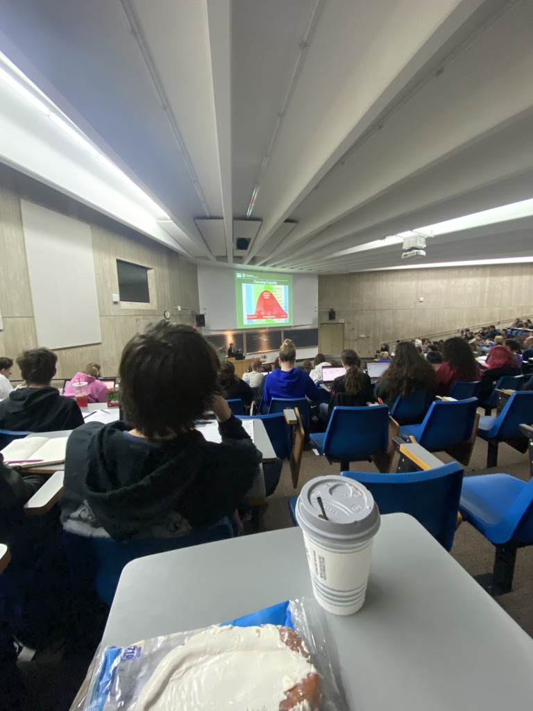 Watching Presentation 