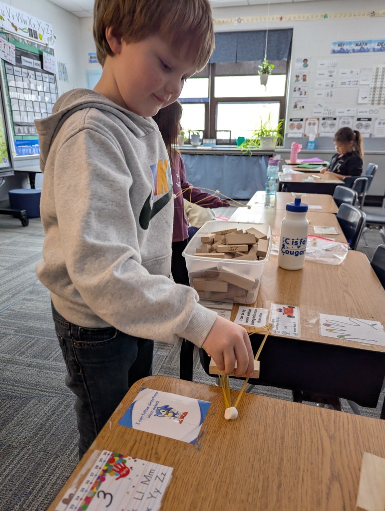 Building Bridges Between Reading and STEM