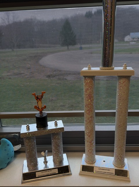 trohpies for SES classes