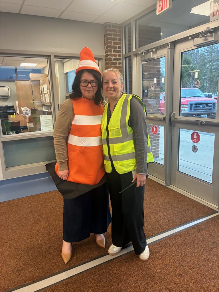 SES traffic directing