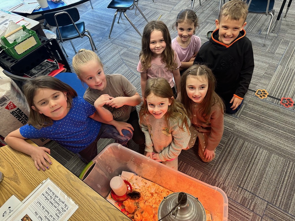 SES chicks in Mrs. Ramirez's class