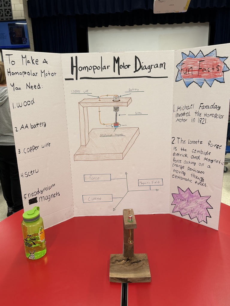 SES Science Fair