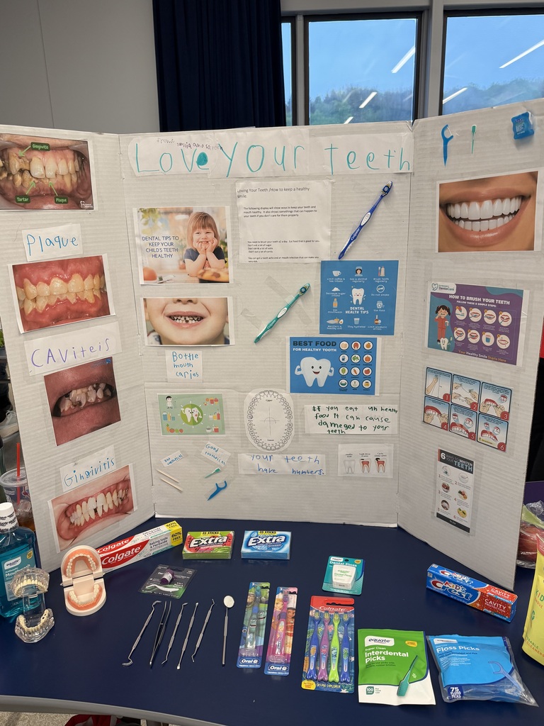 SES Science Fair