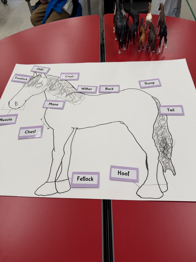 SES Science Fair
