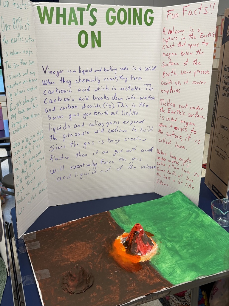 SES Science Fair