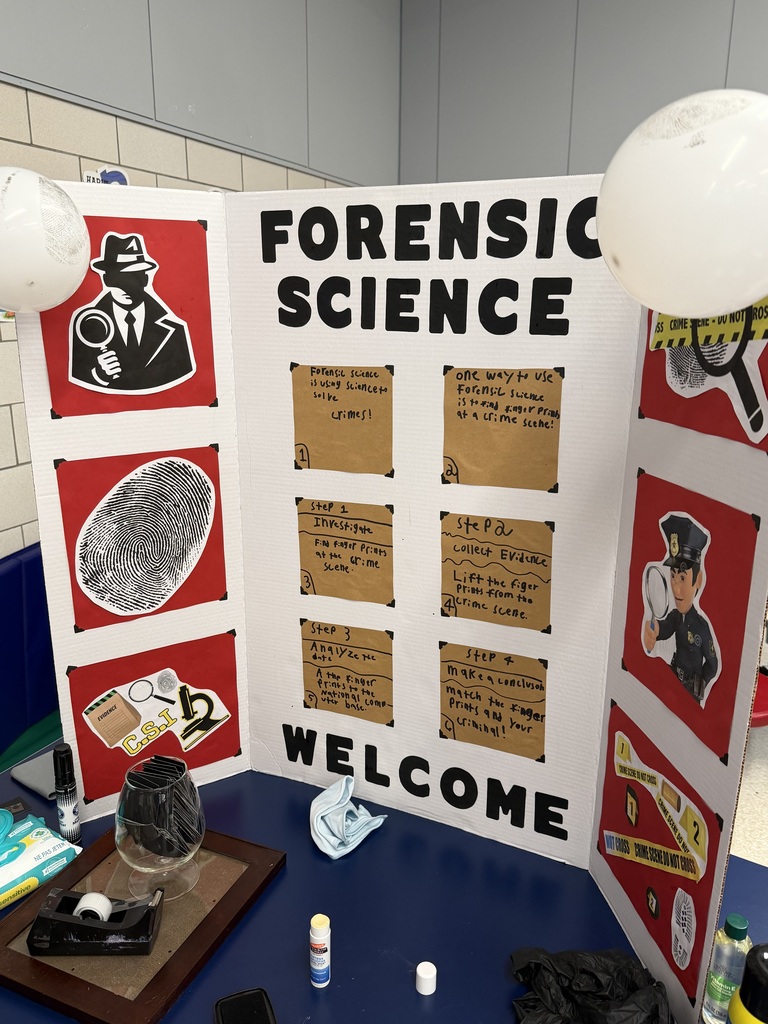 SES Science Fair
