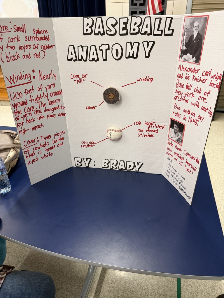 SES Science Fair